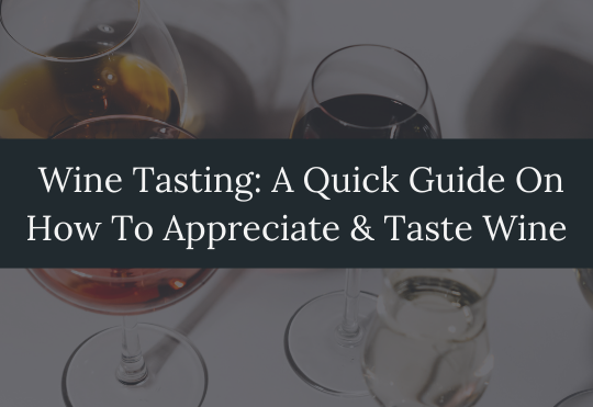 Wine Tasting: A Quick Guide On How To Appreciate and Taste Wine