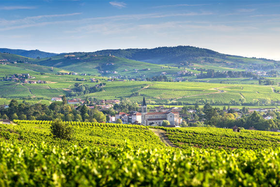 Beaujolais Wine Region - Pierre Hourlier Wines