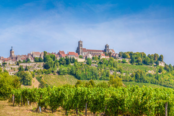 Burgundy Wine - Buying Guide