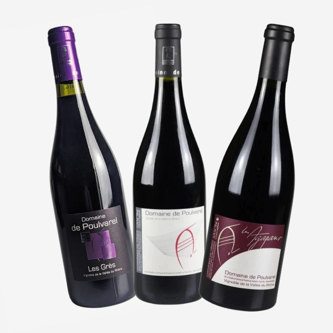 Costieres de Nimes Wine - Buy Online | Hourlier Wines