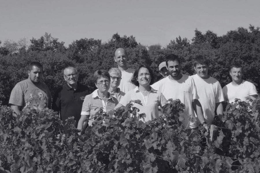 Domaine Masson Blondelet