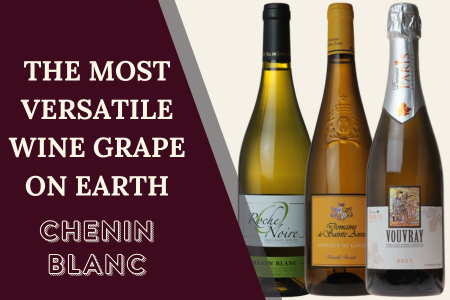 The Most Versatile Wine Grape on Earth