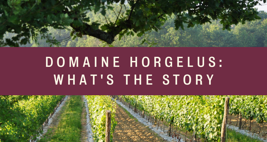 Domaine Horgelus: What's The Story?