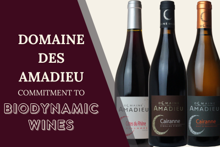 Domaine des Amadieu: A Commitment to Biodynamic Wines