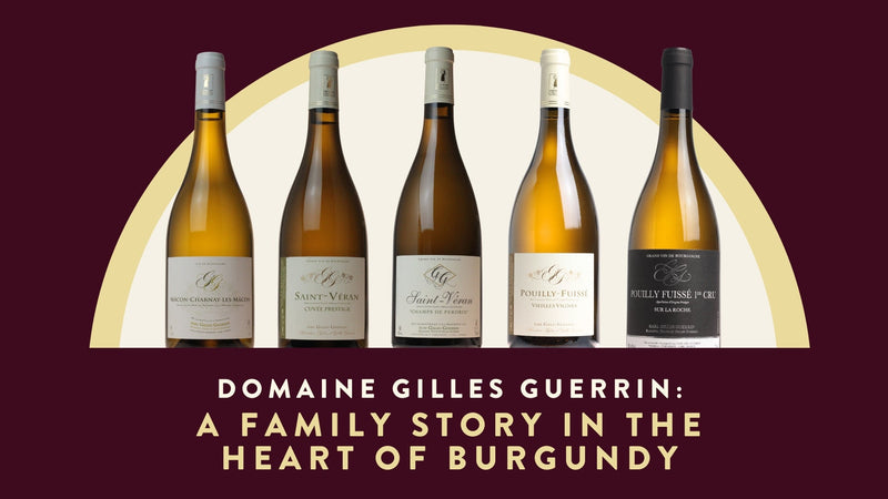 Domaine Gilles Guerrin: A Family Story in the Heart of Burgundy