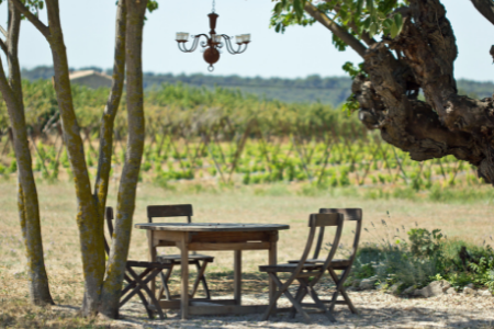 Provence Wine - Buying Guide