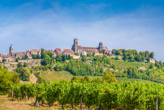 Burgundy Wine Region - Pierre Hourlier Wines