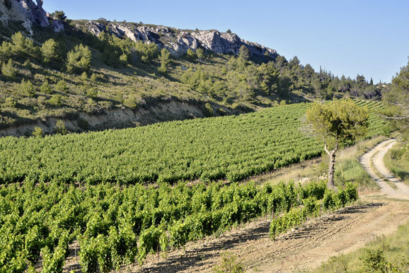 Languedoc-Roussillon Wine - Buyers Guide