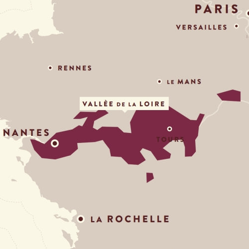 Loire Wine