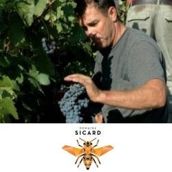 Pierre Hourlier Wines