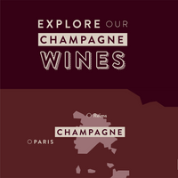 6 Bottle Mixed Case: Champagne Extravagance