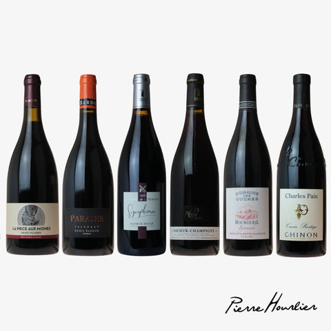6 Bottle Mixed Case: Loire Reds