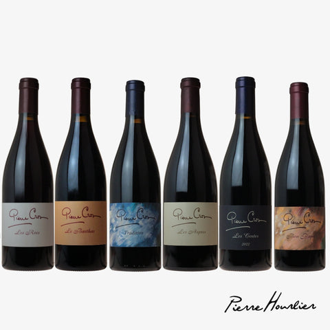 6 Bottle Mixed Case: Pierre Cros Reds